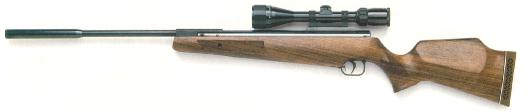 airgun_image