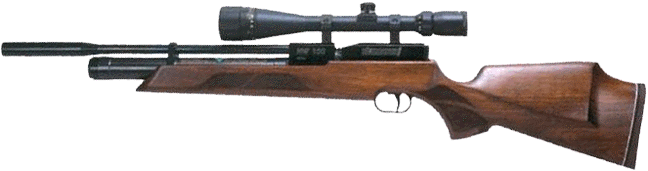 airgun_image