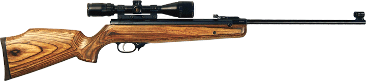 airgun_image