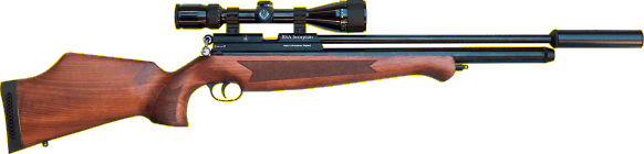 airgun_image