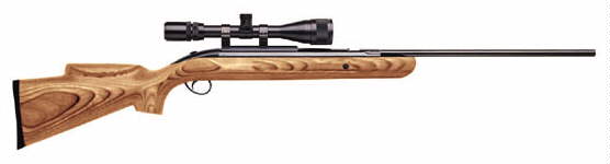 airgun_image